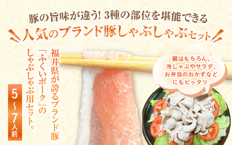 【福井県産ブランド豚】ふくいポーク しゃぶしゃぶ用 食べ比べ 計900g（ロース・もも・バラ 各300g）【肉 国産 豚肉 詰め合わせ 14日以内に発送 銘柄豚肉 福井県産 ポーク ロース バラ モモ セット ぶたにく 豚スライス肉 冷しゃぶ 肉巻き 野菜巻き 冷凍 小分け バーべキュー食材】 [e03-a056]