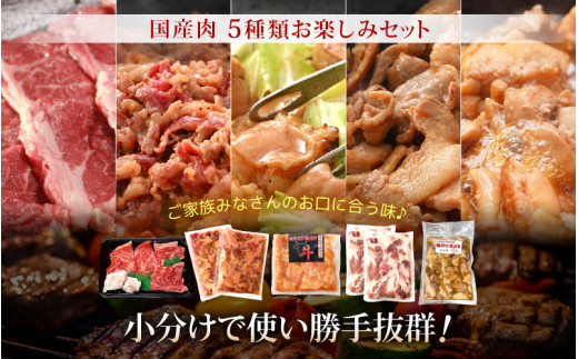 国産 お楽しみ 焼肉セット 合計1.4kg以上【牛肉ロース 味付け肉 牛ホルモン 豚肉 鶏肉 小分け 便利 BBQセット】 [e03-b004]