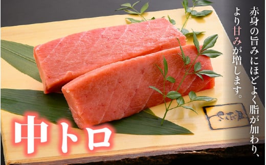 「生本まぐろ」中トロ 約300g（2～3柵） まぐろの王様！！【本まぐろ 鮪 ホンマグロ まぐろ 中とろ 冷蔵 お取り寄せ グルメ】 [e04-a081]