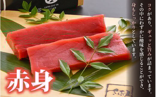 「生本まぐろ」赤身 約300g（2～3柵） まぐろの王様！！【本まぐろ 鮪 ホンマグロ まぐろ 冷蔵 お取り寄せ グルメ】 [e04-a082]