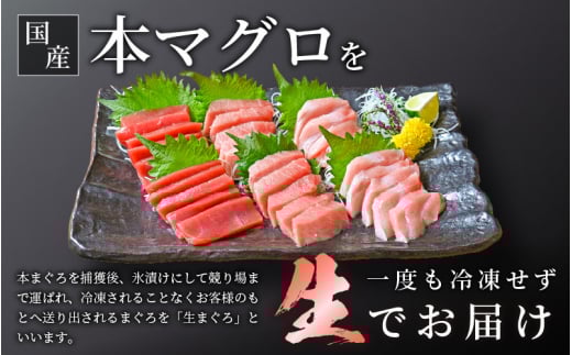 生 本マグロ まぐろ三昧 おためし セット 合計 約300g「大トロ・中トロ・赤身」各 約100g（計3柵） 【本まぐろ マグロ まぐろ 大とろ 中とろ 冷蔵 お取り寄せ グルメ】 [e04-a083]