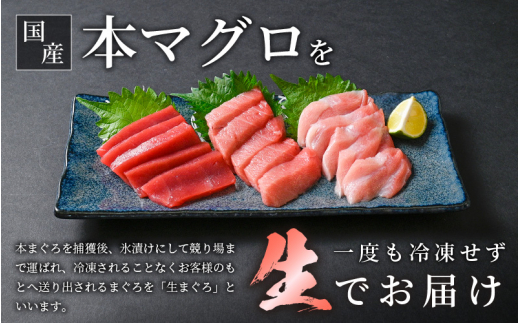 生 本マグロ まぐろ三昧 おひとりさま ミニ セット 合計約150g「大トロ・中トロ・赤身」各約50g（計3柵） 【本まぐろ マグロ まぐろ 大とろ 中とろ 冷蔵 お取り寄せ グルメ】 [e04-a122] 