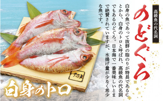 のどぐろ 開き 大サイズ × 2尾（170～200g / 尾）【干物 ひもの 無添加 のどぐろ ノドグロ あかむつ アカムツ 冷凍 贈答 化粧箱入 個包装】 [e04-b030]