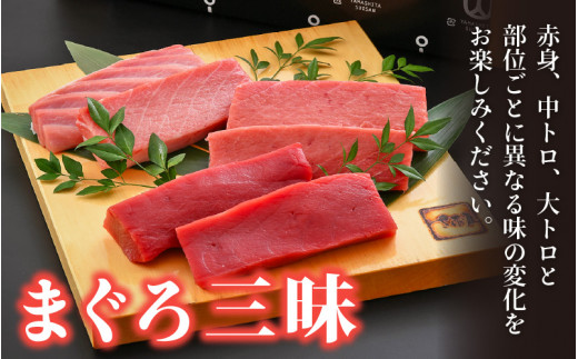 まぐろ三昧「生本まぐろ」大トロ・中トロ・赤身 各約300g（2～3柵） 合計約900g 【本まぐろ 鮪 クロマグロ ホンマグロ まぐろ 冷蔵 お取り寄せ グルメ】 [e04-e005]