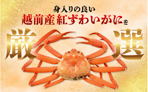 ≪浜茹で≫紅ずわいがに × 1杯 この道50年の職人が選びました！【紅ズワイガニ 紅ずわい蟹 かに カニ 蟹 姿 ボイル 冷蔵 福井県】【4月発送分】希望日指定可 備考欄に希望日をご記入ください [e04-x013【】04]