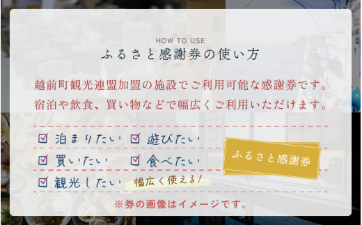 越前町ふるさと感謝券（90,000円分）【宿泊 レジャー アウトドア BBQ 体験型 宿泊券 福井県】 [e05-p001]