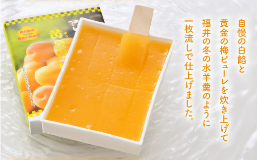【先行予約】 夏の水羊羹！「黄金ゼリー」 250g × 3箱（計750g） 【2026年6月上旬以降発送予定】 自慢の白餡と「黄金梅」ピューレのコラボ！ [e07-a015]