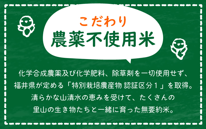 【令和7年産】農薬不使用 特別栽培米コシヒカリ10kg（5kg×2）【精米】福井県認証区分1取得「田んぼの天使」越前町 【10キロ お米 コメ 農薬化学肥料不使用 送料無料】 [e10-d005]