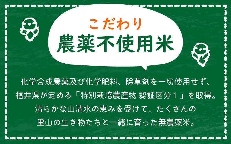 《6ヶ月定期便》農薬不使用 こしひかり 5kg×6ヶ月連続 計30kg 令和7年産 特別栽培米コシヒカリ【精米】福井県認証区分1取得「田んぼの天使」越前町 【5キロ お米 コメ 農薬化学肥料不使用 送料無料】 [e10-k003]