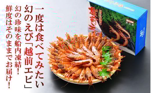 「幻のえび」 越前エビ 500g 船内凍結 鮮度と旨味に自信あり！【 福井漁連 ブランド品 越前えび 】 [e12-a039]