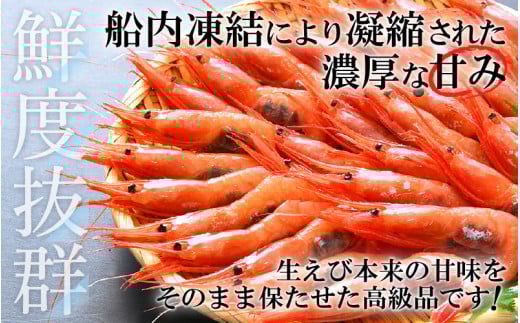 甘えび 特大サイズ30尾（計500g）船内凍結 福井県沖から直送！鮮度と旨味に自信あり【福井漁連 ブランド品 甘エビ あまえび 】 [e12-a036]