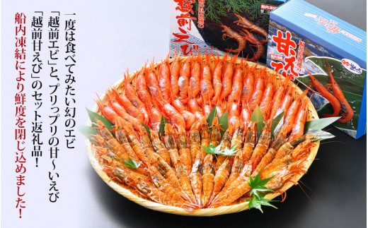 福井漁連 エビ2種 食べ比べセット 計1kg！「幻のエビ」越前えび500g & 越前甘エビ500g [e12-b009]