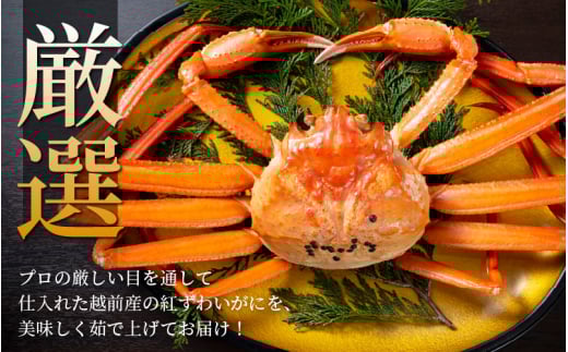 ≪浜茹で≫越前産 紅ずわいがに 約900g × 2杯 食べ方しおり付【紅ズワイガニ カニ かに 蟹 姿 ボイル 冷蔵 福井県】【3月発送分】希望日指定不可 [e14-x001【】03]