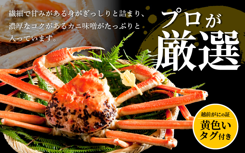 【ANA限定】≪浜茹で≫越前がに 特大サイズ 2杯（生で1杯1kg～1.2kg以上）食べ方しおり付【 雄 ズワイガニ かに カニ 蟹 越前ガニ 姿 ボイル 冷蔵 福井県】【12月発送分】希望日指定可 備考欄に希望日をご記入ください [e14-x024【】12]