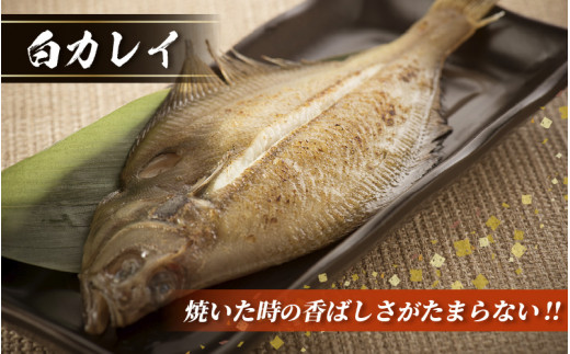 越前産 かれい 「一夜干しカレイ3種セット（合計6～9尾）」 [e15-a001]