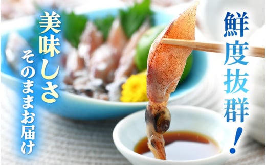 お中元 ギフト 急速冷凍 生 ホタルイカ 21尾入 × 3パック 合計約420g（刺身・しゃぶしゃぶ用）小分け ふっくらプリプリ 鮮度抜群 上品な甘みを存分にお楽しみください！【ほたるいか おつまみ 酒の肴 お取り寄せ グルメ 冷凍 宅飲み】 御中元 のし対応可 [e15-a014]