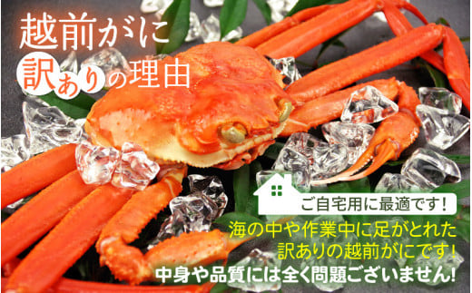 「訳あり 指折れ 越前がに（中）3杯」+ 「干しカレイ 6尾」 食べ方しおり かにスプーン付き【雄 ズワイガニ ずわいがに 越前ガニ 姿 ボイル 冷蔵 福井県】【3月発送分】希望日指定可 備考欄に希望日をご記入ください [e15-x007【】03]