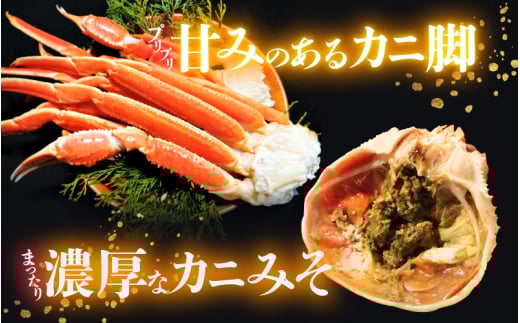 越前がに本場の越前町からお届け！ 越前がに 浜茹で 大サイズ（生で800g前後） × 1杯 かにの食べ方しおり かにスプーン付き【かに カニ 蟹】【福井県 越前町 雄 ズワイガニ ボイル 冷蔵 越前ガニ 越前かに 越前カニ ずわいがに ずわい蟹 かに カニ 蟹】【3月発送分】希望日指定可 備考欄に希望日をご記入ください [e15-x010【】03]