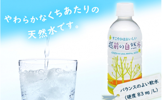 天然水 越前の自然水 ペットボトル 330ml × 24本入り 1ケース【ナチュラルミネラルウォーター 福井県 お水 飲料 水 備蓄】 [e20-a012]