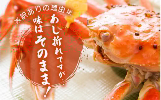 【訳あり】足折れ 越前がに 特大サイズ × 1杯（1.1～1.2kg）地元で喜ばれるゆで加減・塩加減で越前の港から直送！【雄 ズワイガニ ずわいがに 姿 ボイル 冷蔵 福井県】【3月発送分】希望日指定可 備考欄に希望日をご記入ください [e23-x014【】03]