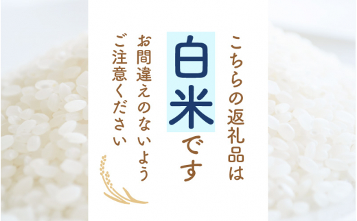 令和7年産 コシヒカリ 3kg 福井県産【白米】【 お米 こめ 米 コメ 精米 こしひかり 3キロ 人気品種】 [e30-a100]