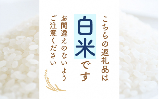 令和7年産 コシヒカリ 5kg 福井県産【白米】【お米 こめ 米 コメ 精米 こしひかり 5キロ 人気品種】 [e30-a102]