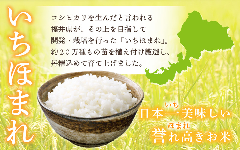 【新米】 令和7年産「福井県ブランド米」 特A通算6回獲得！【お試し米】お米 いちほまれ 2kg 福井県産【白米】【お米 2キロ 精米 人気品種】 [e30-a098]