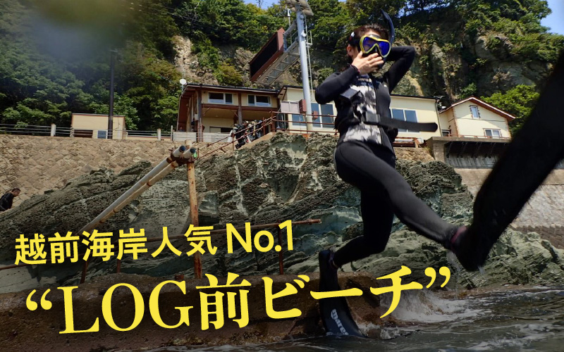 利用券 30,000円分 越前海岸国定公園 『海辺の小さな手作りリゾート ECHIZEN LOG（えちぜんログ）』絶景日本海！越前の海を楽しむ マリンアクティビティ 体験・宿泊・飲食 福井県 越前町【 2年間 有効期限 ダイビング マリン カヤック サップ RV 車 パーク ウミウシ 体験 宿泊 越前かに 券 海の幸 カニ料理 蟹 魚介 かに 蟹 海産物 満腹グルメ 】 [e33-j001]