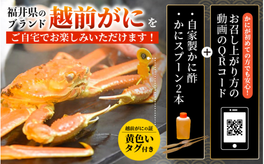 ≪浜茹で≫ 越前がに 特大 × 1杯（生で1kg以上） 越前がに漁師厳選！かに酢 かにスプーン2本 食べ方QRコード付き【雄 ズワイガニ ずわいがに 越前ガニ 姿 ボイル 冷蔵 福井県】【1月発送分】 [e38-x001【】01]