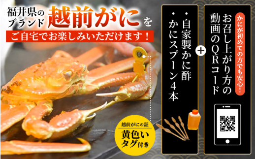 ≪浜茹で≫ 越前がに 特大 × 2杯（生で計1.8kg以上） 越前がに漁師厳選！かに酢 かにスプーン4本 食べ方QRコード付き【雄 ズワイガニ ずわいがに 姿 ボイル 冷蔵 福井県】【3月発送分】希望日指定可 備考欄に希望日をご記入ください [e38-x002_03]