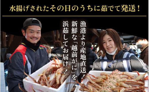  【訳あり】越前がに本場の越前町からお届け！ 越前がに 浜茹で 小サイズ（生で400～600g） × 1杯【かに カニ 蟹】【福井県 越前町 雄 ズワイガニ ボイル 冷蔵 越前ガニ 越前かに 越前カニ】【2月発送分】 [e43-x001【】02]