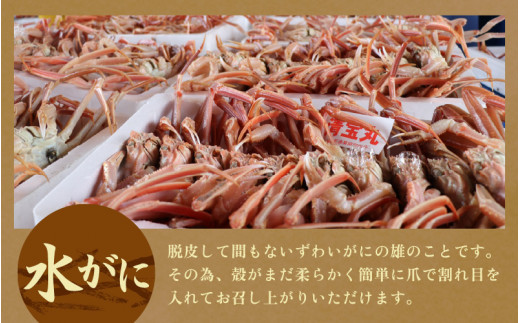 【期間限定】≪浜茹で≫越前産水がに 大サイズ 6肩（足のみ 2肩あたり400～500g） 合計1.2kg以上 産地直送！【雄 ズワイガニ 越前ガニ 足のみ ボイル 冷蔵 かに カニ 蟹 福井県 お手頃】希望日指定可 備考欄に希望日をご記入ください [e43-x010]