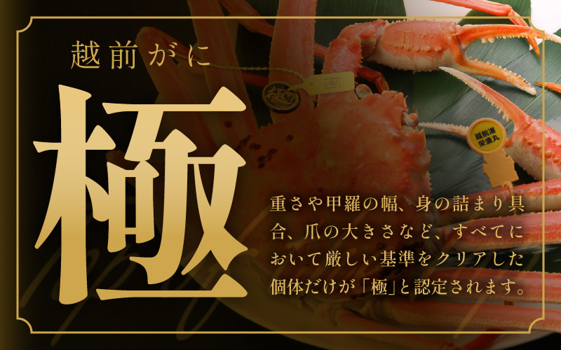 ≪浜茹で≫越前がに 極（生で1.5kg以上） × 1杯【雄 ズワイガニ 越前ガニ 姿 ボイル 冷蔵 かに カニ 蟹 福井県】【2月発送分】希望日指定可 備考欄にメールアドレスをご記入ください [e43-x013【】02]