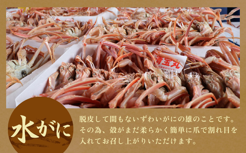 【期間限定】【訳あり品】≪浜茹で≫越前産水がに 1kg（4肩～8肩）産地直送　お手頃【雄 ズワイガニ 越前ガニ 足のみ ボイル 冷蔵 かに カニ 蟹 福井県】希望日指定可 備考欄にメールアドレスをご記入ください [e43-x016]