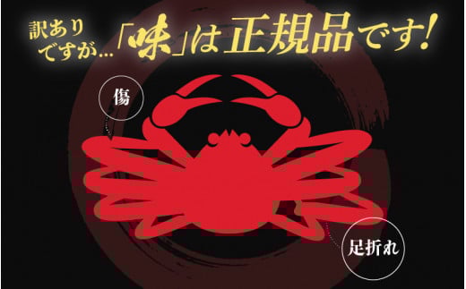 【訳あり】越前がに本場の越前町からお届け！越前がに 浜茹で 大サイズ（生で約0.9～1kg） × 1杯 約2人前 食べ応えあり！【かに カニ 蟹】【越前かに 越前カニ ずわいがに ずわい蟹 かに カニ 蟹】【1月発送分】 [e49-x001【】01]