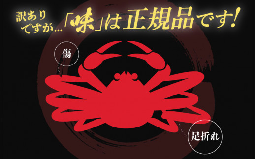 【訳あり】越前がに本場の越前町からお届け！越前がに 浜茹で 大サイズ（生で約0.9～1kg） × 1杯 約2人前 食べ応えあり！【かに カニ 蟹】【越前かに 越前カニ ずわいがに ずわい蟹 かに カニ 蟹】【2月発送分】 [e49-x001【】02]