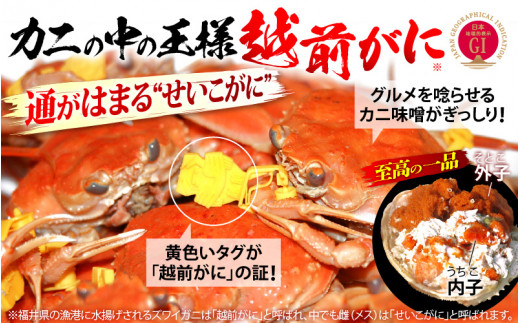 産地直送！越前せいこ蟹 甲羅盛り「身出し」セット 3杯 鮮度にこだわり「冷蔵」発送！旨味満足【雌 ズワイガニ】【越前がに せいこがに セイコガニ セコガニ ボイル むき身 かに カニ 蟹 福井県】【1月発送分】希望日指定可 備考欄に希望日をご記入ください [e49-x004【】01]