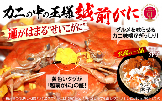 産地直送！越前せいこ蟹 甲羅盛り「身出し」セット 5杯 鮮度にこだわり「冷蔵」発送！旨味満足【雌 ズワイガニ】【越前がに せいこがに セイコガニ セコガニ ボイル むき身 かに カニ 蟹 福井県】【1月発送分】希望日指定可 備考欄に希望日をご記入ください [e49-x005【】01]