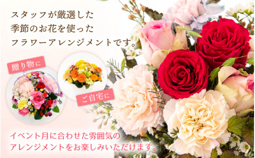 お花 お楽しみ 季節のフラワーアレンジメント 生花【福井県 花 おしゃれ プレゼント ギフト 母の日 父の日 敬老の日】 [e51-a003]