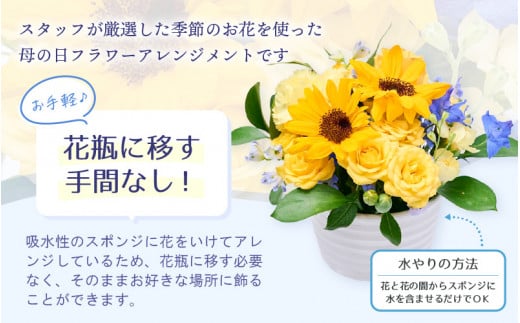 【先行予約】父の日 そのまま飾れる 花 ギフト フラワーアレンジメント 【2026年6月発送】生花 感謝を伝える メッセージ カード付・付属にて越前和紙 小花一輪付【福井県 花 華 おしゃれ プレゼント ギフト 父の日  手軽 メッセージカード】 [e51-a007]