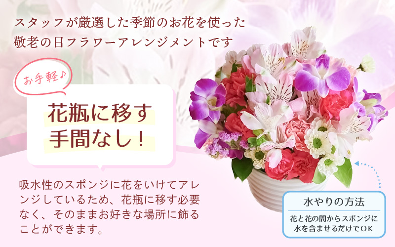 【先行予約】敬老の日限定 そのまま飾れる フラワーアレンジメント 生花【2026年9月18日～9月21日発送】感謝を大切な人に メッセージカード付・越前和紙 小花一輪付【ギフト 手軽 花 華 おしゃれ プレゼント 敬老の日 シルバー 花瓶いらず 水替え無 】 [e51-a011]