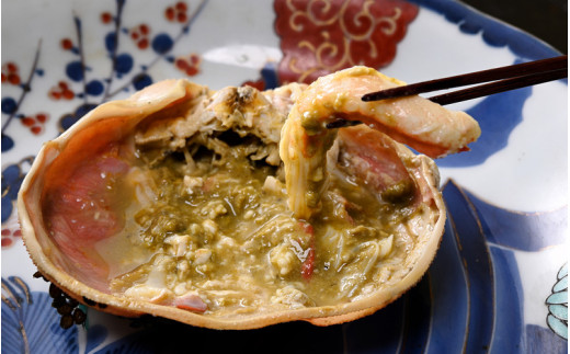 冬の日本海の味　福井県のブランド蟹「極」に準ずる　浜茹で【越前がに　極落ち1.5kg～】11月～翌3月発送 [e56-x008]