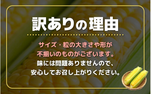 【先行予約】【訳あり】農場直送 鮮度抜群 スイートコーン（ とうもろこし ）約5kg （11本～15本）【2026年7月上旬より順次発送予定】【お楽しみ バーベキュー 冷凍保存可能 焼肉 おやつ ご飯のおとも 野菜 国産 産地直送】 [e62-a009]