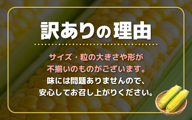 【先行予約】【訳あり】農場直送 鮮度抜群 スイートコーン( とうもろこし ) 約2.5kg（6本～8本) 【2026年7月上旬より順次発送予定】【お楽しみ バーベキュー 冷凍保存可能 焼肉 おやつ ご飯のおとも 野菜 国産 産地直送】 [e62-a008]