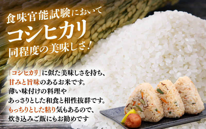 【期間限定】令和7年産 新米 米 5kg 精米 あきさかり 福井県産《14日以内に出荷予定》【白米 5キロ アキサカリ お米 ごはん 人気品種 産地直送 新生活 kome】 [e66-a014]