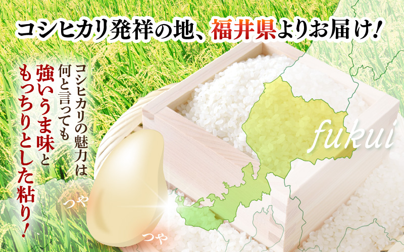 令和7年産 新米 米 10kg（5kg×2袋）精米 コシヒカリ 福井県産《14日以内に出荷予定》【白米 5キロ 10キロ こしひかり お米 人気品種 産地直送 新生活 kome】 [e66-b002]