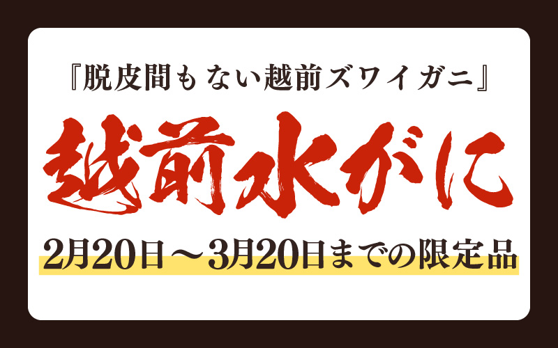 【期間限定】浜ゆで 越前産水がに中サイズ 10肩（足のみ2肩あたり300～400g） 合計1.5kg以上 産地直送 食べやすい【雄 ズワイガニ 越前ガニ 足のみ ボイル 冷蔵 かに カニ 蟹 福井県】希望日指定可 備考欄にメールアドレスをご記入ください [e68-x009]