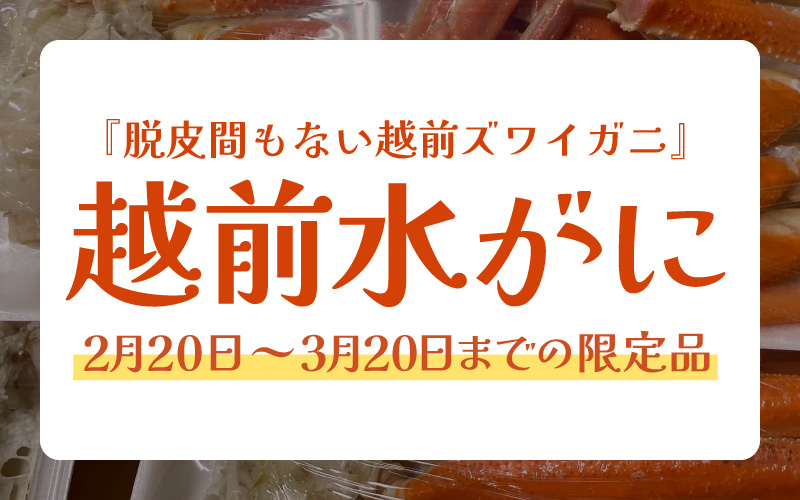 【期間限定】浜ゆで 越前産水がに中サイズ 4肩（足のみ2肩あたり300～400g） 合計600g以上 産地直送 食べやすい【雄 ズワイガニ 越前ガニ 足のみ ボイル 冷蔵 かに カニ 蟹 福井県】希望日指定可 備考欄にメールアドレスをご記入ください [e72-x005]