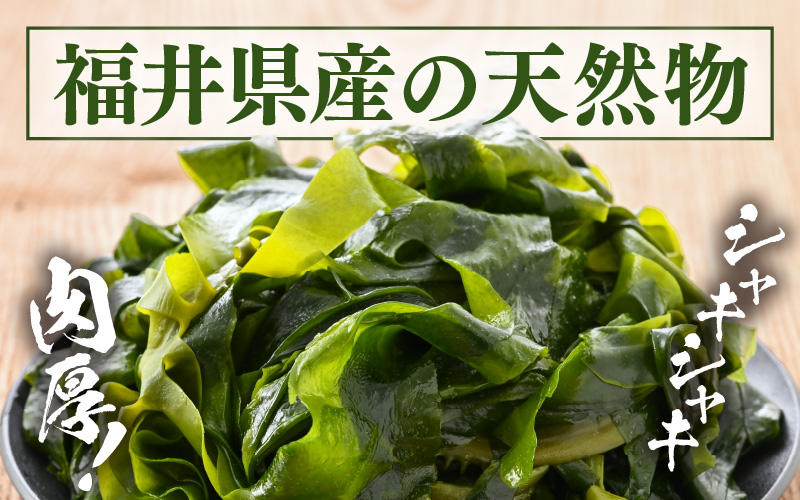 『天然物わかめ』 肉厚 福井県産わかめ 3袋（180g × 3袋）【湯通し 塩蔵 生わかめ 国産わかめ ワカメ 海藻 スープ 鍋 サラダ 刺身 酢のもの】 [e80-a003]