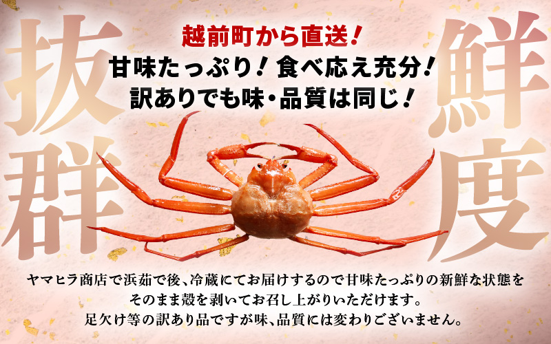 【訳あり】≪浜茹で≫越前産 紅ずわいがに × 1杯（生で約880g～1kg）【紅ズワイガニ カニ かに 蟹】【紅ずわいがに】【6月発送分】 [e80-x001【】06]